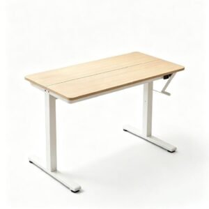 Our Modern Space Electric Standing Desk, Height Adjustable, 55 x 24 Inch, Dual Monitor Home Office Desk