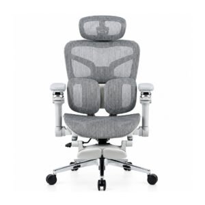 DEADSKULL ergonomic office chair shown from the back, featuring a breathable mesh backrest, adjustable headrest, split lumbar support, 6D adjustable armrests, white ergonomic frame, and chrome five-star base with caster wheels.