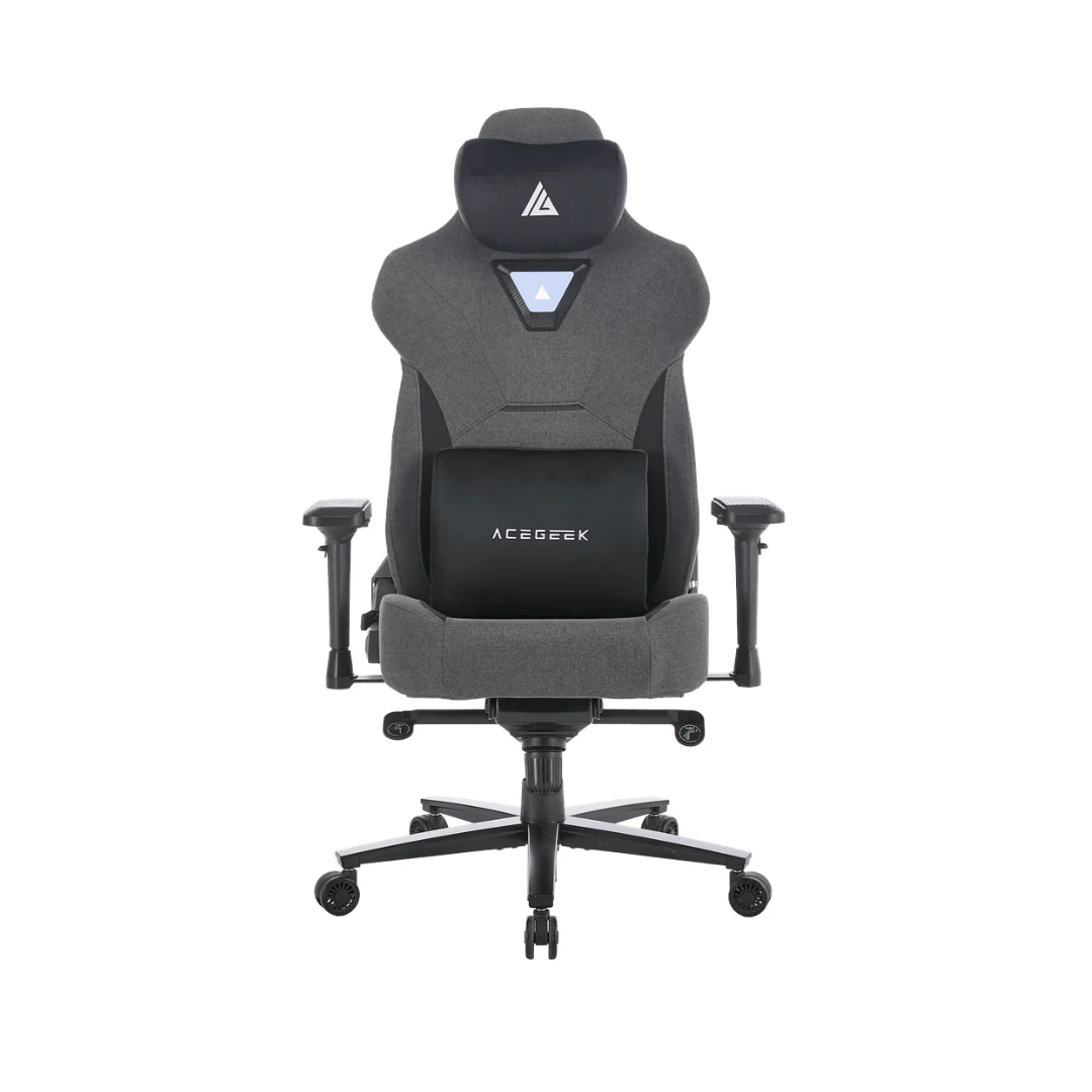 ACEGEEK Evo Fab black ergonomic gaming chair with magnetic pillows